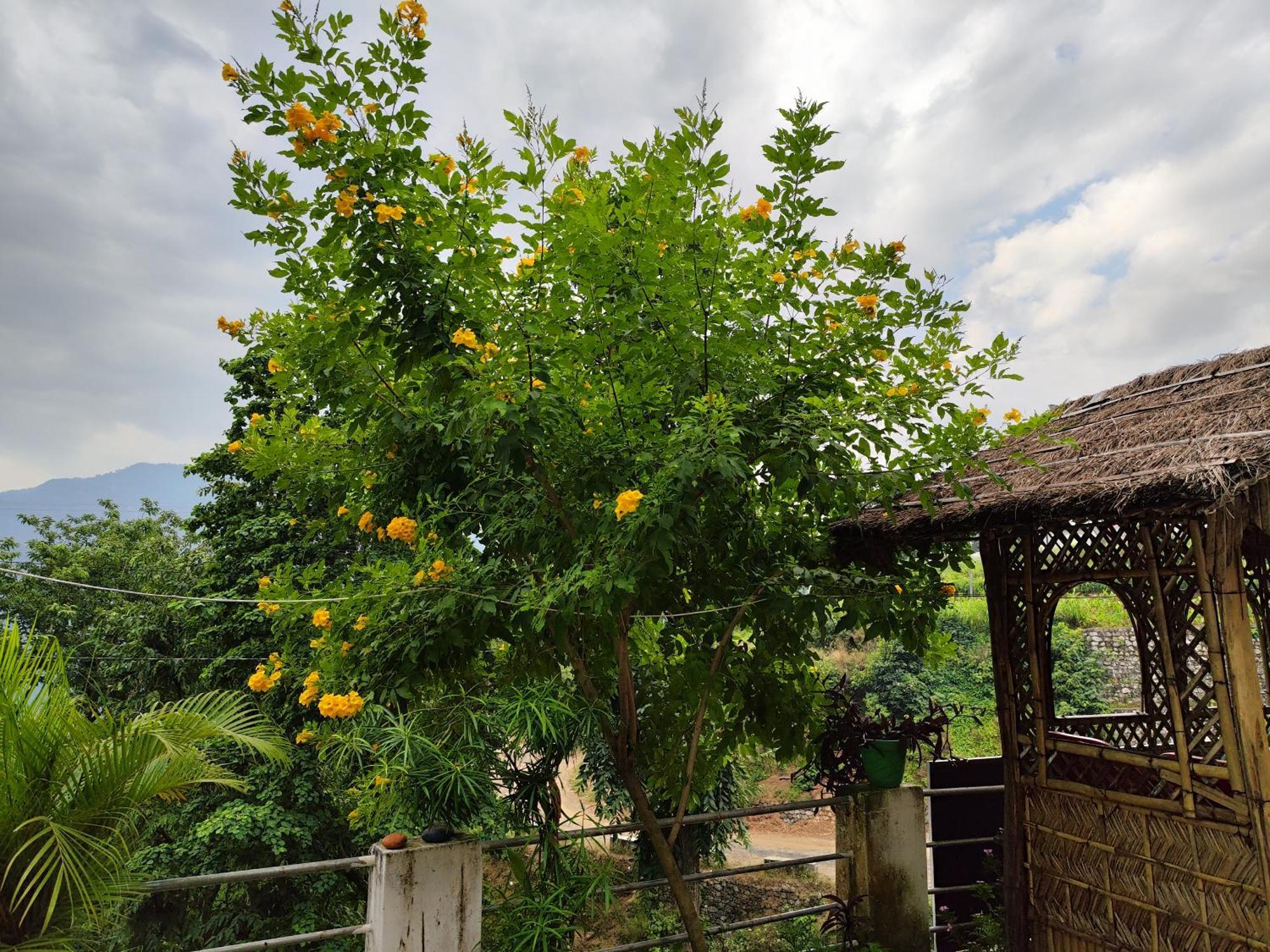 Nature Villa Rishīkesh Esterno foto